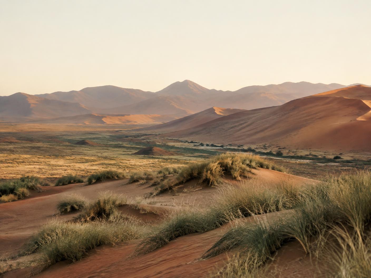 Wind-sculpted desert landscape